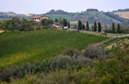 L’ORCHESTRONA dell Scuola di Musica Popolare alla Nuova Brocca