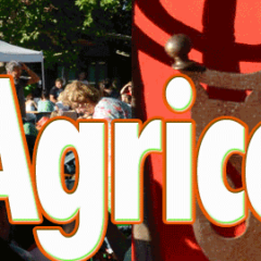 15 Giugno 2018 – L’Orchestrona (da ballo) alla Fiera Agricola del Santerno a IMOLA (BO)