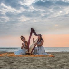 Domenica 17 Novembre 2019 Il duo RED ROSES presenta “ALBAE” live all’ENTROTERRE FOLK CLUB