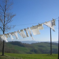 ORCHESTRA VOCALE – Seminario tenuto da Luisa Cottifogli